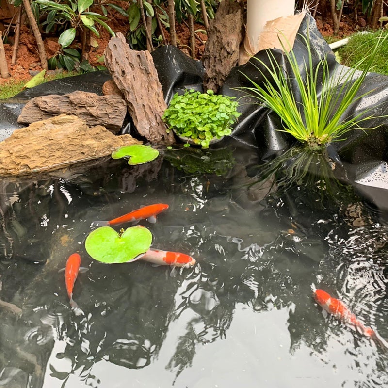 Adroiteet 7 x 10 FT Pond Liner  20 Mil Fish Pond HDPE Liner  Pond Liners for Outdoor Ponds  Koi Ponds  Garden Fountain  Waterfall - Image 4